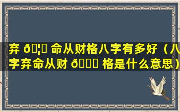 弃 🦊 命从财格八字有多好（八字弃命从财 🐝 格是什么意思）